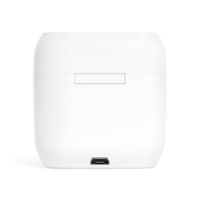 33rd Degree Scottish Rite Earbud - White - Bricks Masons